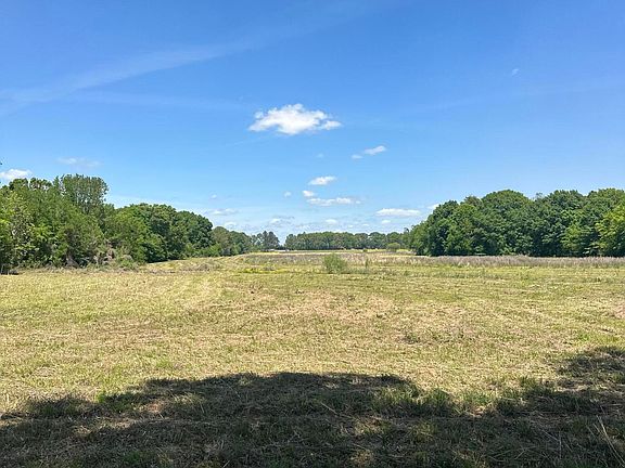 2nd image of Holly Bush Rd