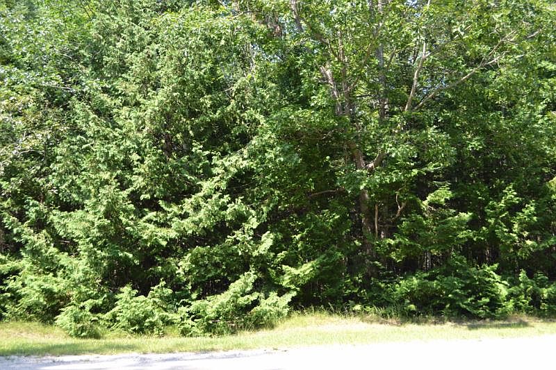 1st image of Arrowhead Dr