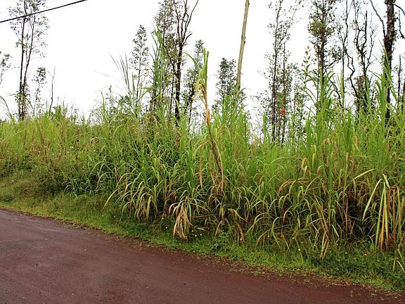 3rd image of Orchid Dr Lot 7