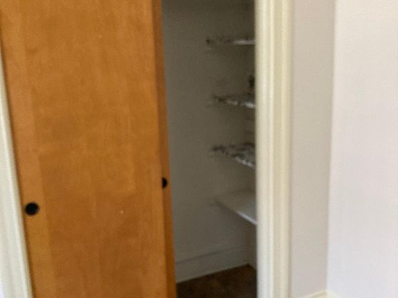 kitchen pantry closet