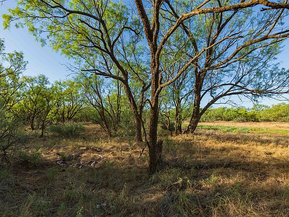 3rd image of Oo Fm 1226