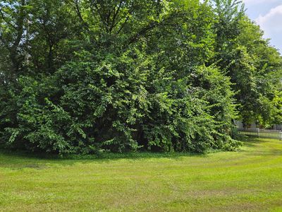 Bluff St, Clearwater, MN, 55320