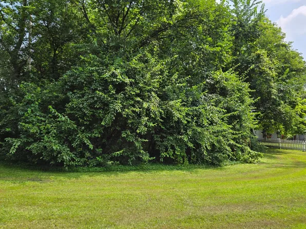 Bluff St, Clearwater, MN 55320