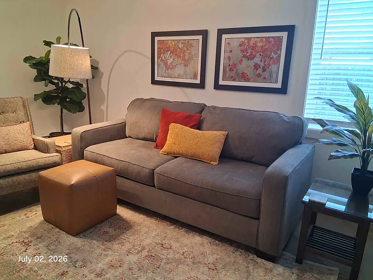 Living area with sofa bed and lounge chair
