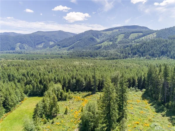 27628 State Route 706 E, Ashford, WA 98304
