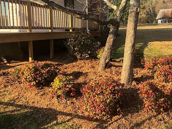 Side Yard and covered back door