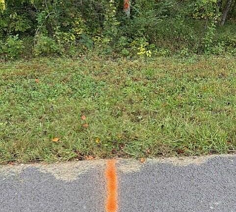 3rd image of 0 Gadson Ln