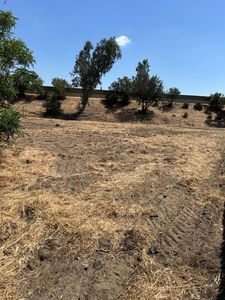 2417 Mason St, Selma, CA, 93662