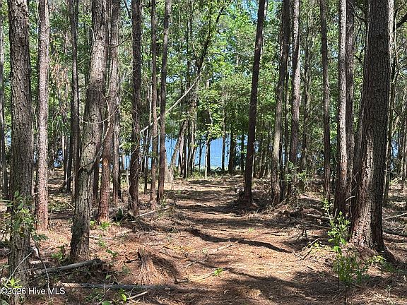 4th image of 28 Hillside Ln Lot 28