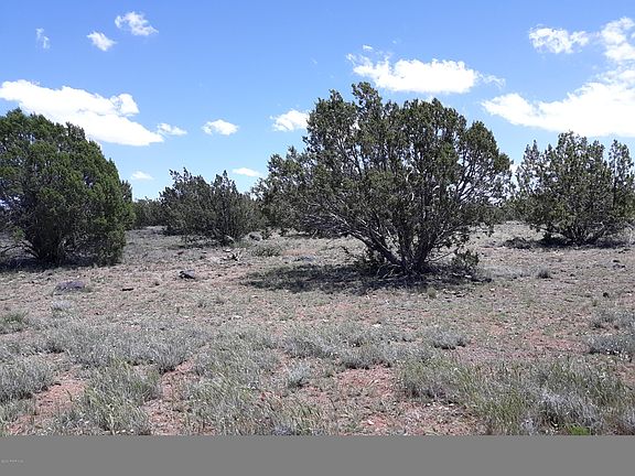 5th image of 81 Juniper Woods