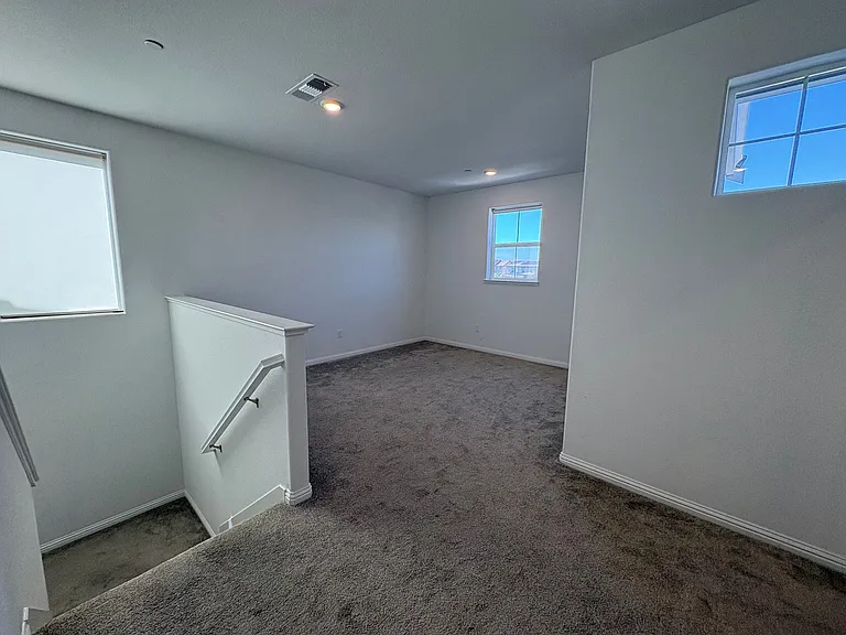 204 Wooley Creek Way — Photo 13