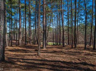 1141 Swift Crk, Greensboro, GA