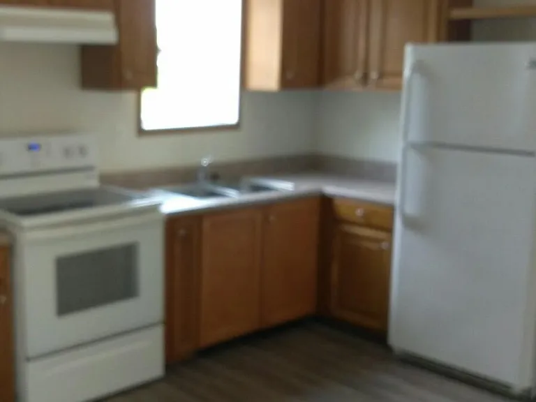 385 Duck Mt — Photo 6