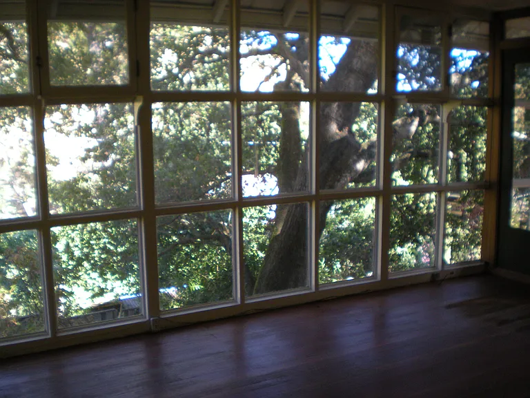 Elizabeth St — Photo 8