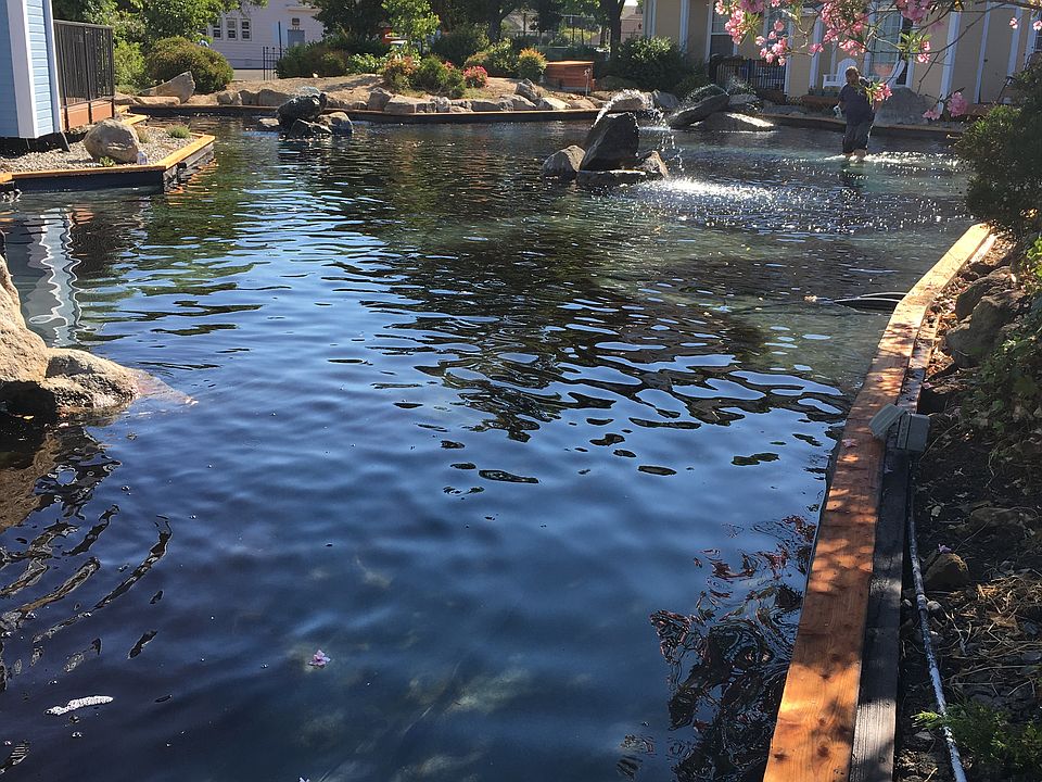Lagoon 