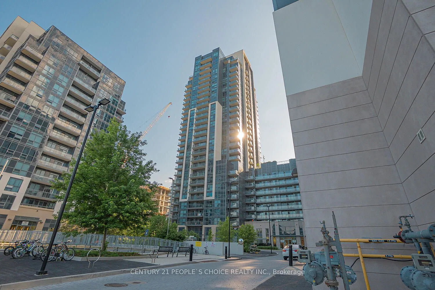 3 bed, $2,900 — Photo 1