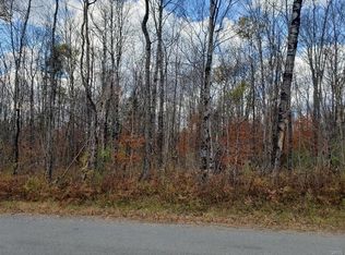 00 S Moose River Road Rd, Lyonsdale, NY 13368