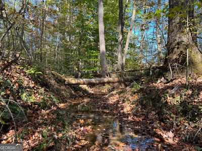 TRACT 3 N Ruckersville Rd, Elberton, GA, 30635