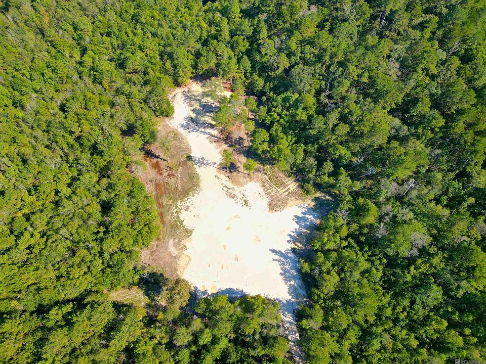 2nd image of 33606 State Highway 441