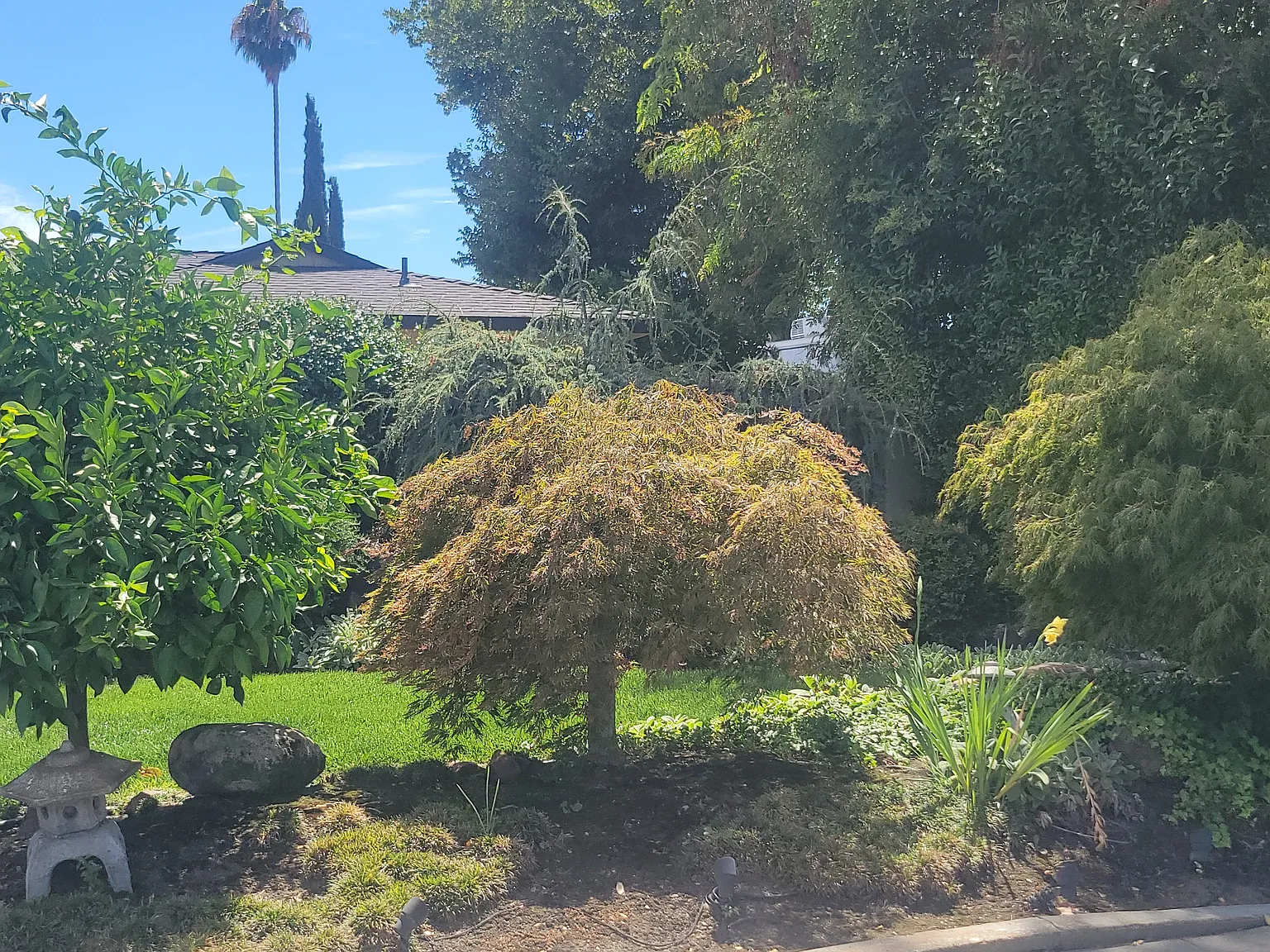 3 bed, 1404 sqft, $4,900 — Photo 4