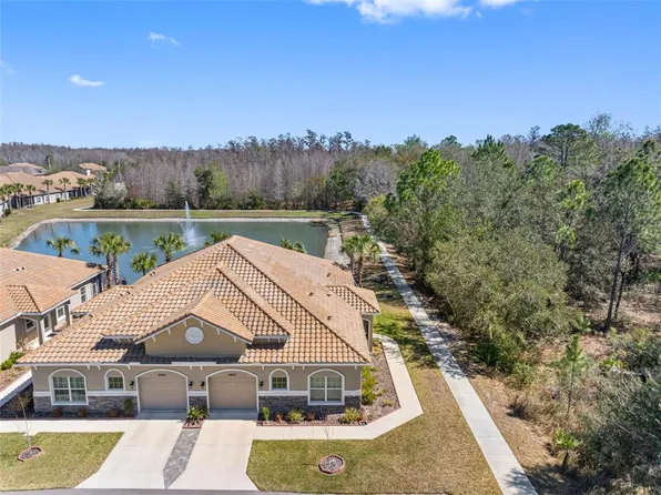 29800 Anand Vihar Dr, Wesley Chapel, FL 33543