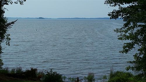 view from rear patio