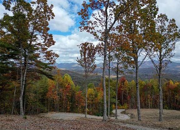 3rd image of LOT 8 Yellow Mtn Lot 8