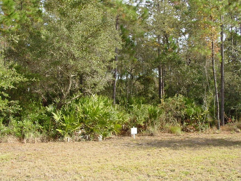 Lot # 171