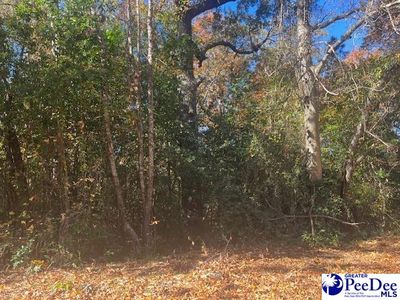 Fox Hill Ct, Hartsville, SC, 29550