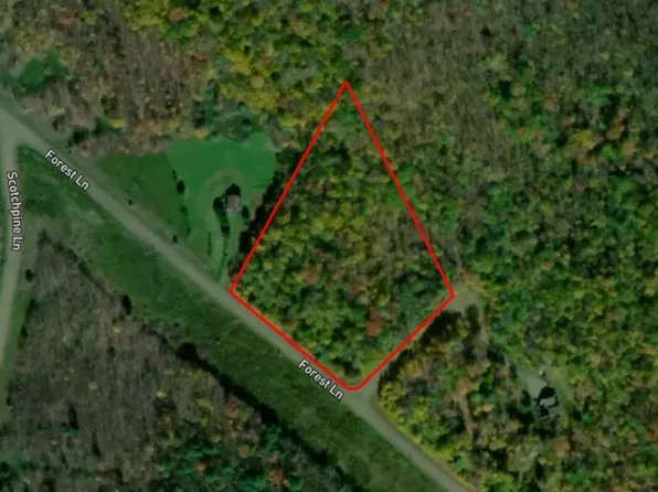 LOT 20 Forest Ln Lot 20, Andes, NY 13731