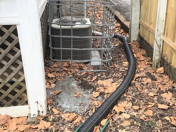 2nd image of 26 N Harvey Ave