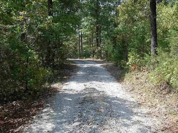 81 Serenity Ct, Gepp, AR 72538