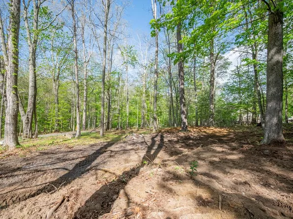 3826 S Scenic Hwy, Bland, VA 24315