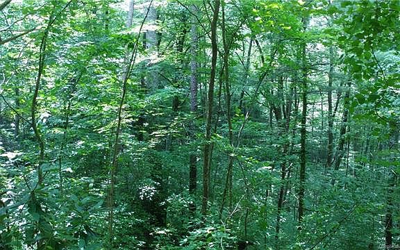 2nd image of 99999 Black Bear Cove Dr