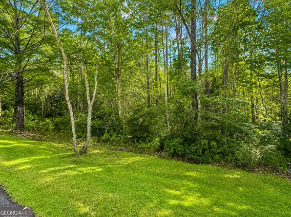 LOT 163 La Terra Ln, Waverly, GA 31565