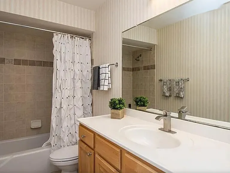 6150 Gulfport Blvd S #101 — Photo 5