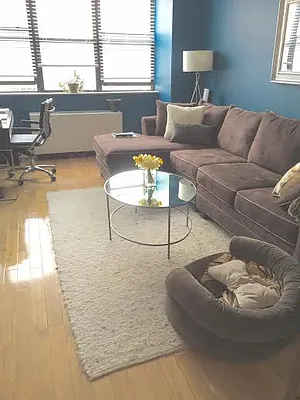 Rented by PennApts | media 1