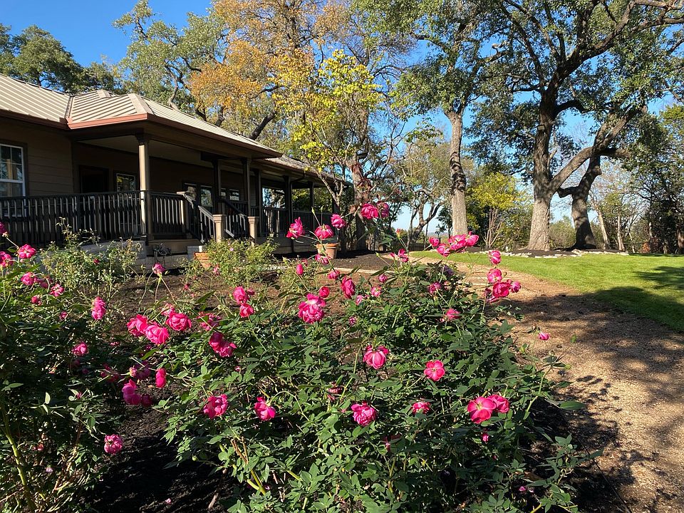 Beautiful blooms throughout the year!