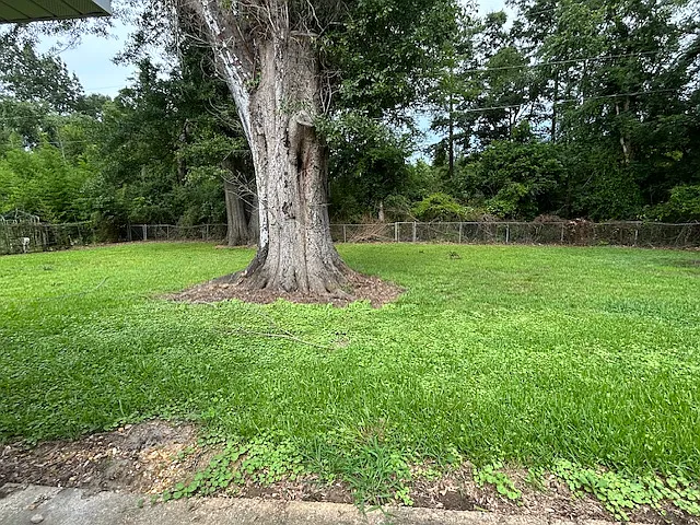 211 Eastwood Dr — Photo 19