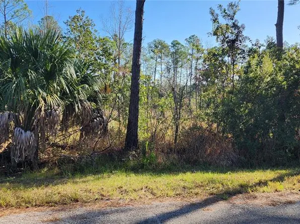 LOT 5 Banyan St Lot 5, Eustis, FL 32736