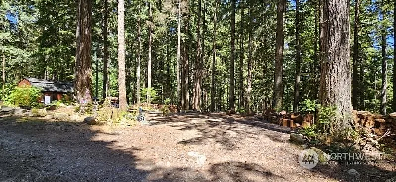 8723 Vista Loop #3-101 photo 1