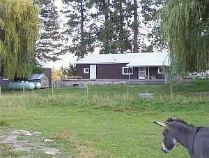 4th image of 3803 Salish Trl