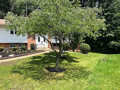 Front yard with spacious outdoor area in a quiet cul-de-sac setting - 4903 Orkney Ct
