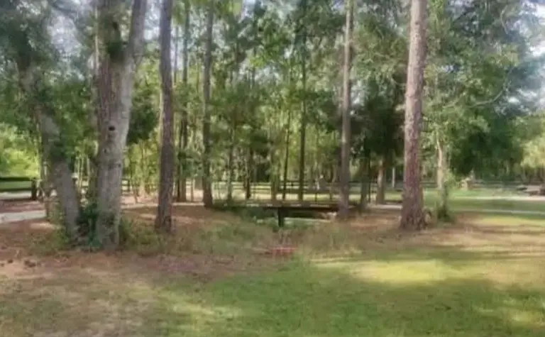 8450 Natures Hammock Trl #B — Photo 22