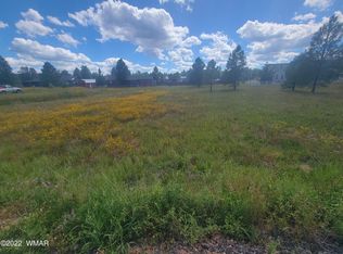 2277 Meadow Ln, Overgaard, AZ 85933