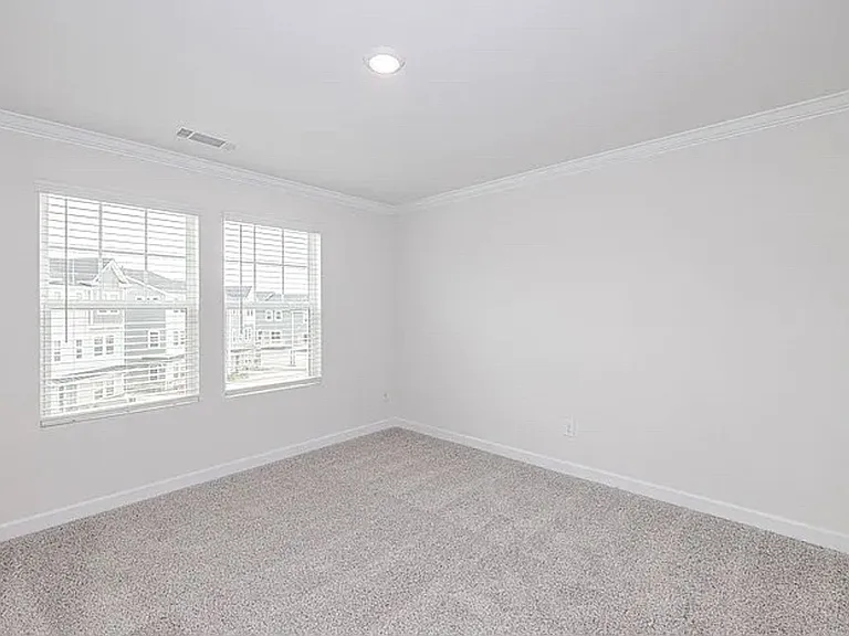 4415 Millennium Ave — Photo 42