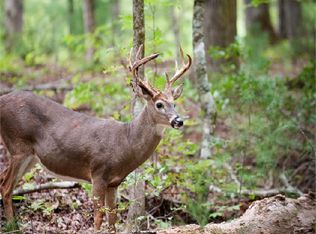 4371 County Road 49, Eufaula, AL 36027