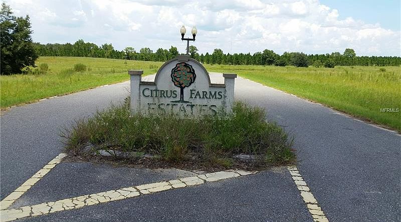2nd image of 13648 Citrus Farms Dr