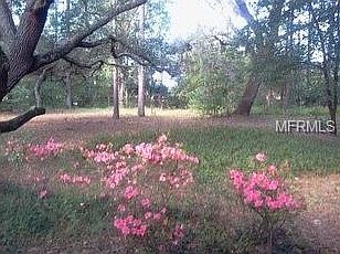 5th image of 2956 Starwood Dr