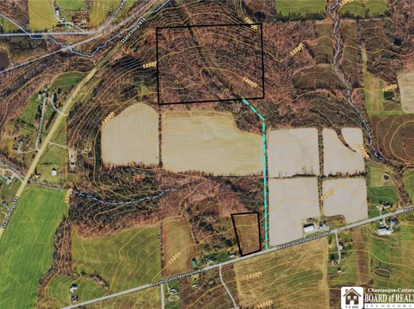 0 Beaver Dams Moreland Rd #17, Beaver Dams, NY 14812